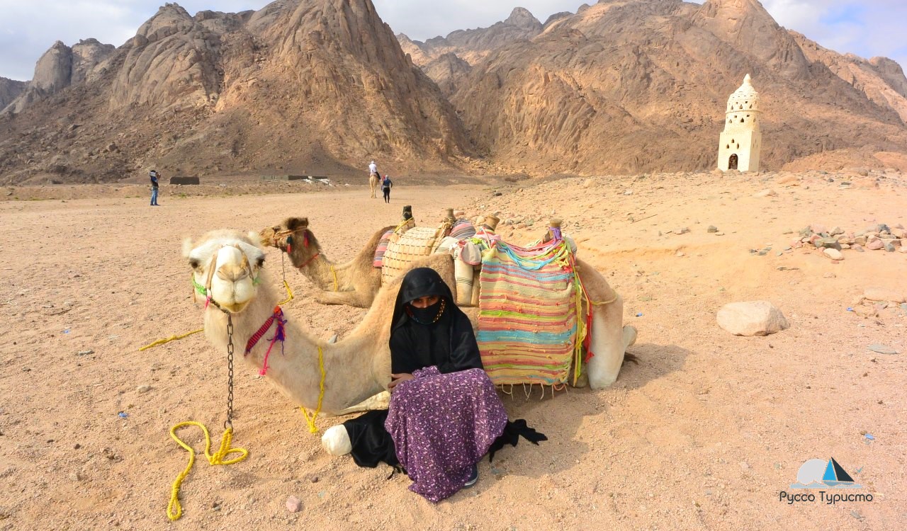 Поездка к бедуинам в Хургаде - катание на верблюдах