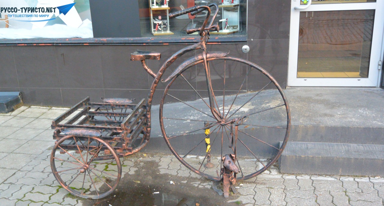 Велосипед с собачкой - памятник в Калининграде