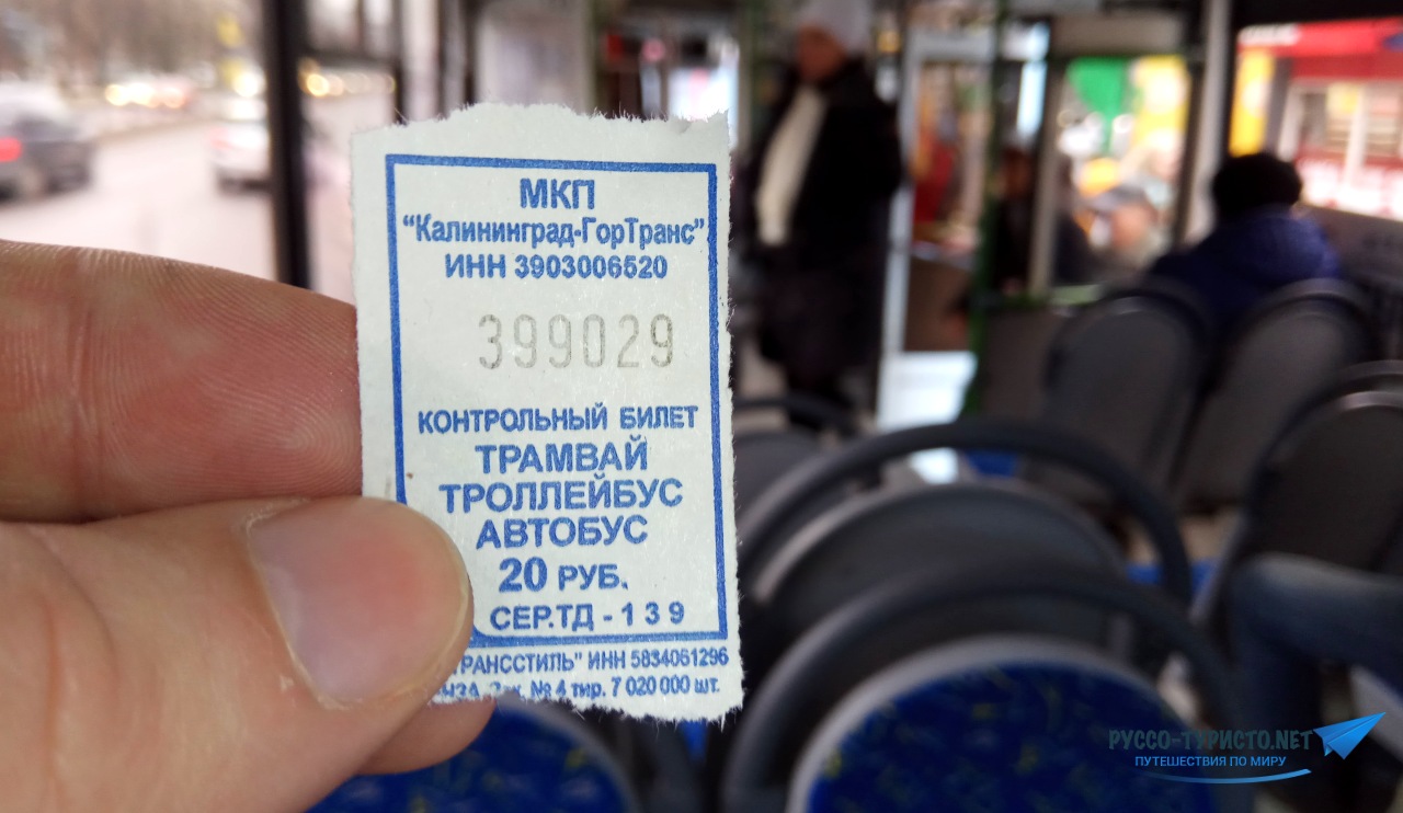 Сколько стоит проезд на автобусе в Калининграде