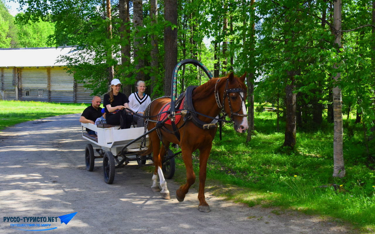 Малые Корелы летом, музей деревянного зодчества, деревня в Архангельской области