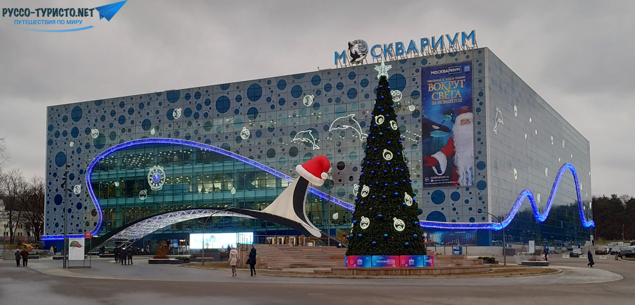 Новогодняя Москва Для Детей