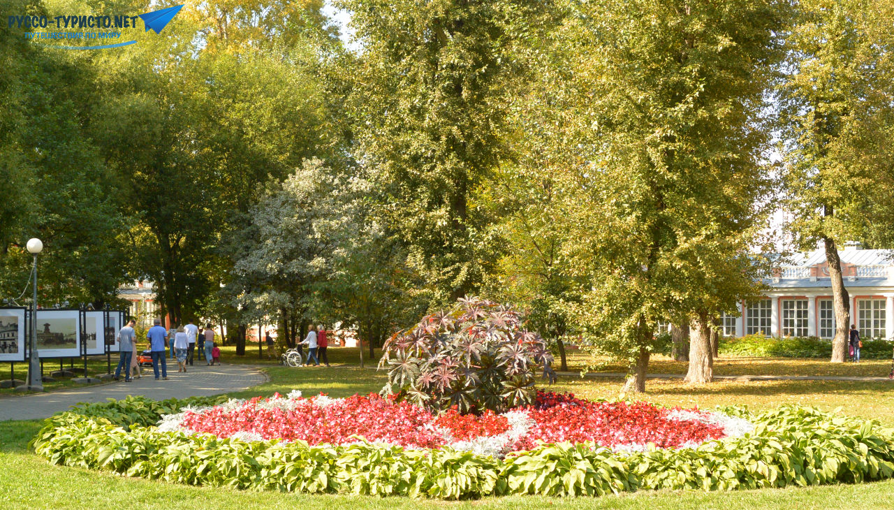 Цветы в Воронцовском парке